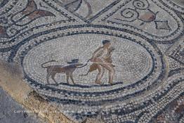 Image du Maroc Professionnelle de  Une mosaïque représentant une scène de la mythologie grecque dans les ruines de Volubilis,  l'un des sites les mieux préservés au Maroc et le plus visité. Il se situe à proximité de Moulay Idriss Zerhoun à une trentaine de km au nord-ouest de Meknès, photo prise le jeudi 8 Mars 2012. Volubilis ville antique berbère Walili (Lauriers rose) qui date du 3e siècle avant J.-C. capitale du royaume de Maurétanie fondé comme seconde capital sous le règne de Juba II. (Photo / Abdeljalil Bounhar)
 